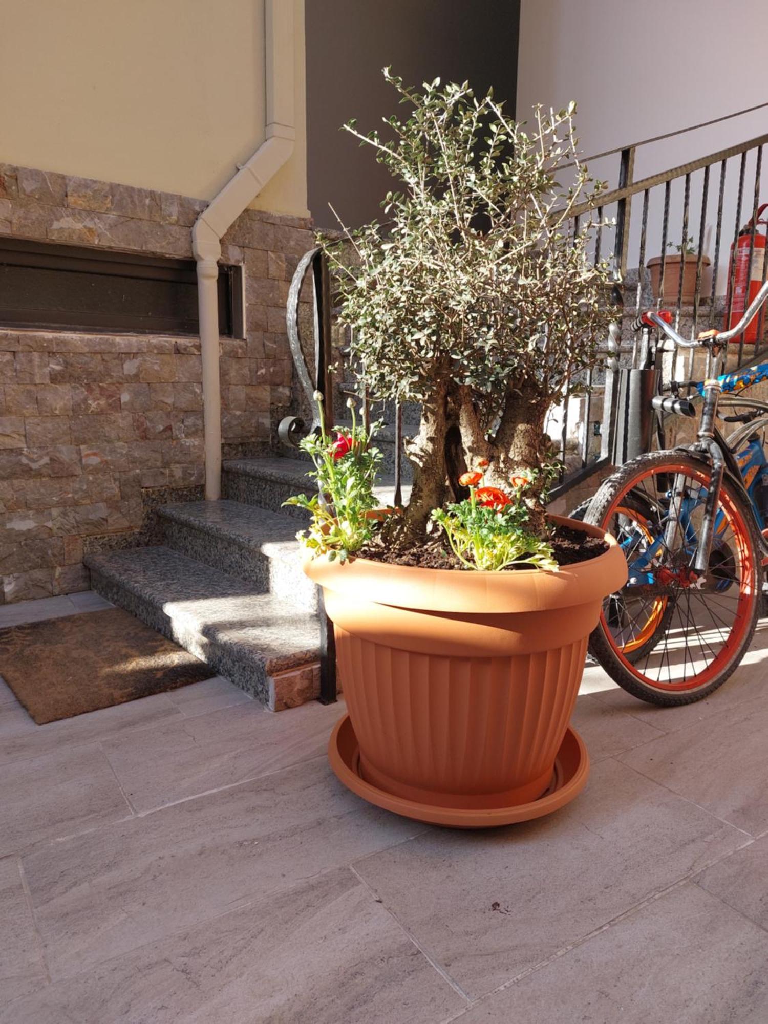 Vila Tafa Apartments تيرانا الغرفة الصورة